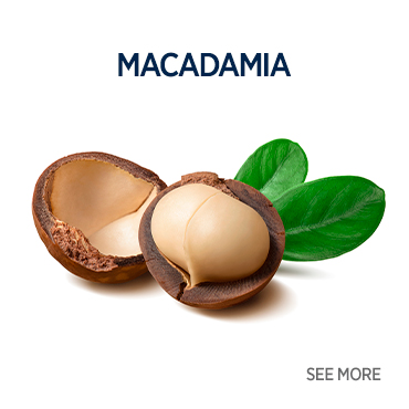 macadamia